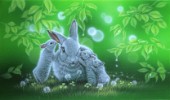 Whisper-Rabbit