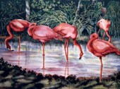 Feeding flamingos (NPI 3559)