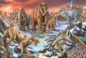 Sabers and Mammoths