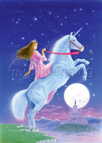 Unicorn Princess  Riding