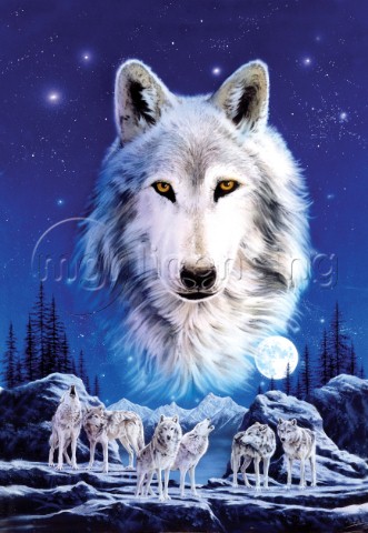 Night of the wolves