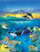 Living Ocean - Orca