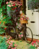 Bicycle & Flowers (g104)