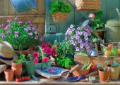 In The Potting Shed