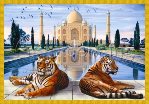 Taj Mahal tigers