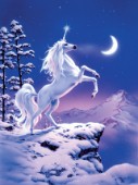 Moonlight unicorn
