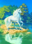 Unicorn lake