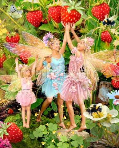 Summer fairies