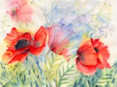 Poppies, Interlaced with Kecksy