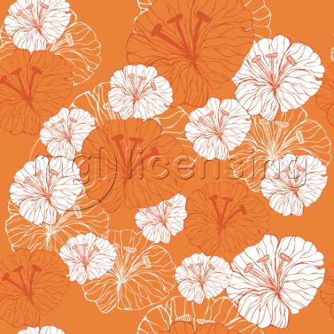 Tangerine Floral
