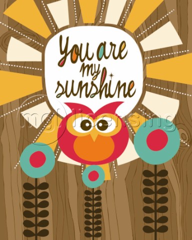 My Sunshine Owl