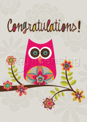 Owl Congratualtions