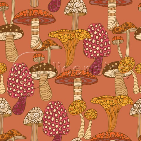 mushrooms01vh