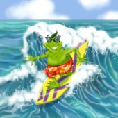 Vacation frog surfing