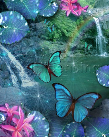 Blue Butterfly Dream