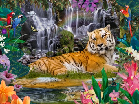 Enchanted Tigress
