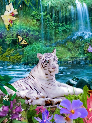 Paradise Tiger