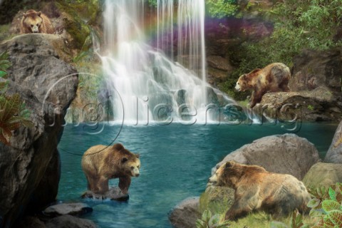 Bear Falls