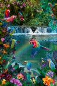 Waterfall Parrots