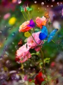 Flowers in the Rain Butterflies (variant 1)