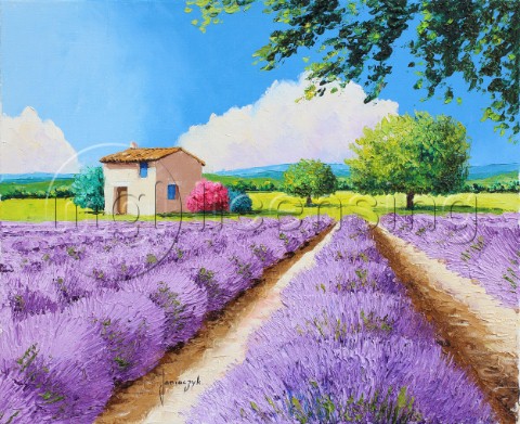 House with blue shutters in Provence