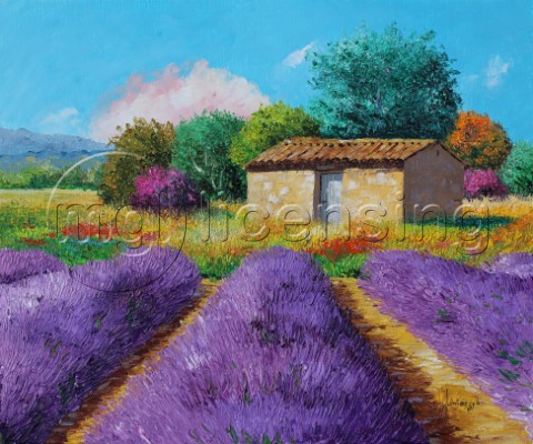 At The End Of The Lavender Field