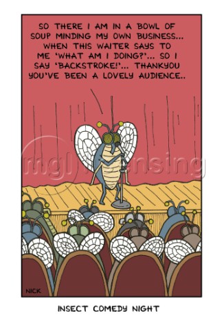 Insect comedy night