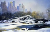 Central Park NYC- Winter