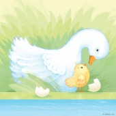 Duck & Chick