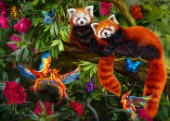Two red pandas surrounded by butterflies in fantasy wood.