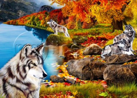 Wolves in Autumn Forest