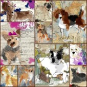 Painted Dog Multipic 1