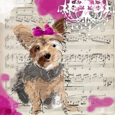 The Painted Yorkie