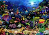 Colourful Reef
