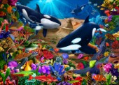 Orcas Wondrous Ocean