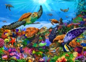 Amazing Undersea Turtles