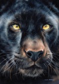 Oil painting on canvas of a Black panther