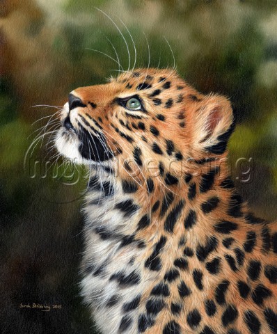Oil painting of an African leopard cub