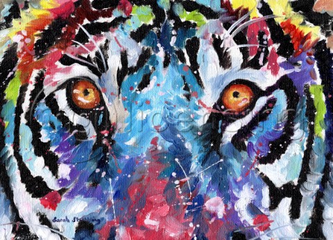 Tiger eyes in multicolour Oil on canvas