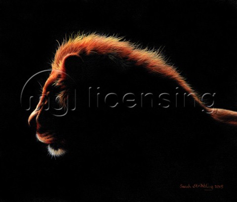 African Lion at twilight painted in oil paints on canvas