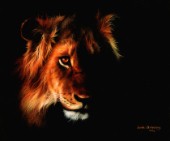 Lion Twilight 3