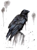 Raven watercolour