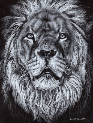Monochrome Lion