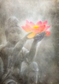 Neutral Lotus Budda (Variant 1)