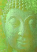 green buddha squared