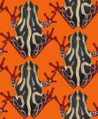 repeating pattern ~ congo tree frog damask on orange