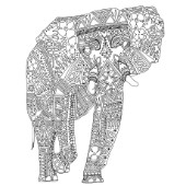 ILLUSTRATED NATURE ELEPHANT black and white