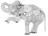 asian elephant (variant 1).jpg