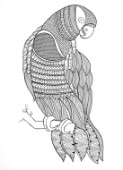 Neeti-Bird-Macaw