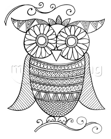 Bird Owl 4